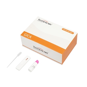 Sıcak Satış Fabrika Fiyatı Yüksek Hızlı Test Tek Adımlı Tifo <span class=keywords><strong>IgG</strong></span>/IgM Hızlı Test Kiti Tıbbi Ekipman Tifo Testi - Product Image 5