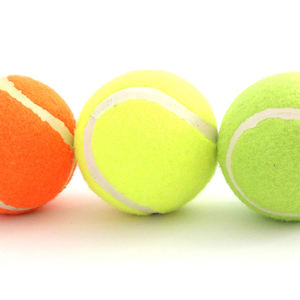 Zapatillas de tenis Clase A para mascotas con juguetes de goma que chirrían y diseño inspirado en un silbato - Product Image 4