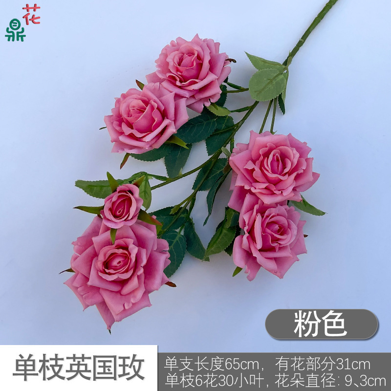 Rose britannique simple DG rose