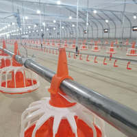 Système d'alimentation automatique pour élevage de poulets de chair et de bétail, équipement d'élevage, système d'alimentation pour poulailler, ensemble de bacs pour l'alimentation du bétail