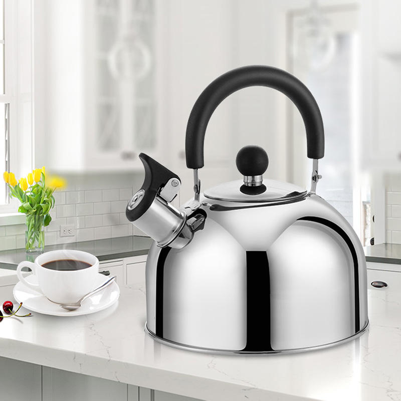 Stainless Steel Kettle Non Toxic Water Kettle Plastic Free Non
