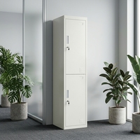 Armoire de rangement moderne en acier à 2 portes verticales avec miroir, portes verrouillables, penderie et étagères pour appartement et chambre