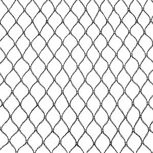 <span class=keywords><strong>Filet</strong></span> <span class=keywords><strong>de</strong></span> pêche résistant à l'usure à haute ténacité matériaux composés <span class=keywords><strong>filet</strong></span> <span class=keywords><strong>de</strong></span> <span class=keywords><strong>chasse</strong></span> aux oiseaux filets <span class=keywords><strong>de</strong></span> brouillard pour oiseaux agricoles - Product Image 1