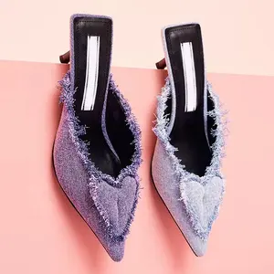 Anmairon Fashion Girls Brand Shoes Handmade Purple Jean Pointed Toe Low Heels Footwear Denim Woman Slippers