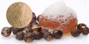 B.c.i cung cấp phân hủy sinh học thảo mộc soapnut chiết xuất <span class=keywords><strong>sapindus</strong></span> mukorossi trái cây chiết xuất bột <span class=keywords><strong>sapindus</strong></span> saponin 70% - Product Image 3
