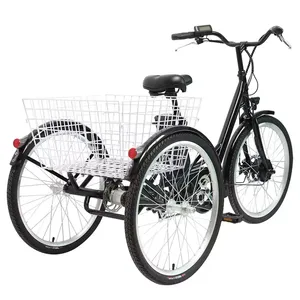 Triciclo Eléctrico de Carga con Motor de Cubo Trasero de 26 Pulgadas, 36V 250W, 6 Velocidades, Cuadro de Acero Hiten TR03 para Rueda Trasera - Product Image 4