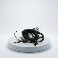 Kabel Harness Kustom OEM JST PH2.0 IP66 untuk Mobil, Motor & Komputer - Perakitan Kabel PVC/Tembaga Berlapis Timah IATF16949