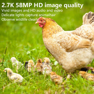 Vision nocturne IP56 étanche 1080P Animal Home <span class=keywords><strong>Surveillance</strong></span> caméra <span class=keywords><strong>de</strong></span> piste <span class=keywords><strong>de</strong></span> <span class=keywords><strong>chasse</strong></span> - Product Image 4