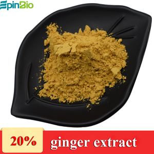 Poudre d'extrait de gingembre EpinBio de haute qualité 100 % naturelle de qualité alimentaire, 20 % de gingérols, 100 % passant le tamis 80 mesh, emballage sous vide en fût - Product Image 5