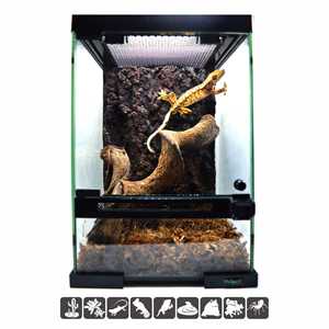Terrarium en verre pleine grandeur pour reptiles, boîte d'élevage et d'habitat pour serpents, araignées, grenouilles cornées, lézards, escargots, mantes - Product Image 1