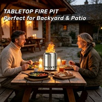 Brasero de table miniature en acier inoxydable, portable, sans fumée, pour brûler du bois, pour jardin, patio, camping