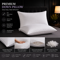 Oreiller de luxe personnalisé avec logo, 95% duvet d'oie, housse en coton blanc, régulateur de température, soutien doux, pour dormeurs sur le côté/dos
