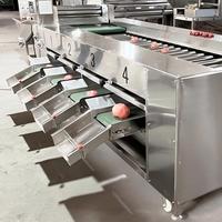 Automatische roller sorteermachine voor citroenen, uien, kersentomaten, wortelgroenten en andere groenten op basis van maat.