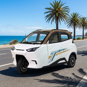 Tricycle <span class=keywords><strong>électrique</strong></span> fermé avec moteur <span class=keywords><strong>de</strong></span> 3000W, adapté aux déplacements sur <span class=keywords><strong>de</strong></span> courtes distances comme <span class=keywords><strong>moyen</strong></span> <span class=keywords><strong>de</strong></span> <span class=keywords><strong>transport</strong></span> - Product Image 4
