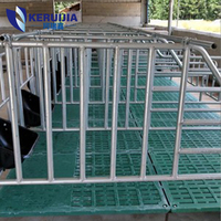 Grande ferme robuste équipement agricole moderne cage pour animaux truie stylo de grossesse galvanisé positionnement des truies