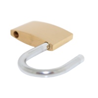 Sécurité bon marché bonne qualité trempé anti-coupure petites serrures de porte à bagages 40mm cadenas en laiton