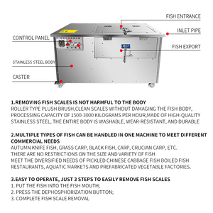 Machine de traitement du poisson à haute efficacité, machine automatique d'écaillage du poisson, écaleur de poisson, nettoyeur d'écailler de poisson - Product Image 3