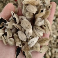 Vente en gros de bourgeons de fleurs de magnolia séchées naturelles de haute qualité, Xin Yi Hua, cueillies à la main, en sachet et en boîte, pour thé santé de qualité alimentaire