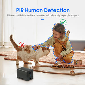 Anywii P214 Mini caméra vidéo sans fil Wifi Petit enregistreur vidéo Micro Mini caméra Hd 2MP petite caméra à batterie - Product Image 4