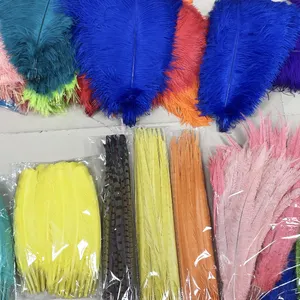 2024 New Wholesale Various style carnival ostrich /peacock /rooster feathers for carnival costumes/party decoration