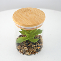 Plantes succulentes artificielles de 11 cm avec vase en verre transparent pour la décoration moderne de la maison, du bureau et des fêtes de mariage