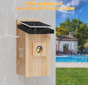 Mangeoire à oiseaux en bois écologique avec caméra solaire intégrée, artisanat en bois - Product Image 4