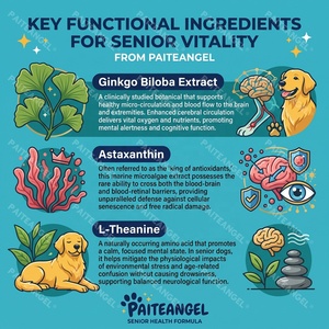 Complément Cérébral et Visuel pour Chiens Seniors – Friandises Tendres à la Lutéine, DHA et Astaxanthine – Soutien Cognitif et Stimulation Cérébrale – 120 Unités – Marque Blanche - Product Image 3