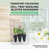 Caja de Transporte de Plántulas Transparente Personalizada de PET de 1 mm de Grosor, Soporte Seguro para Macetas, Embalaje de Protección para Raíces de Plantas Jóvenes