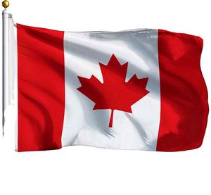 Hot Sale Custom Mexican Country <b>Flag</b> 3x5ft Printed Polyester Promotional <b>Flags</b> & Banners - Product Image 6
