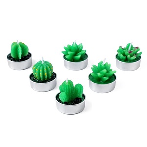 Personalizzato Vari Stili di Trasporto Combinazione di Paraffina di Simulazione In Vaso Pianta di Cactus Spinoso Pera Forma di Animale Succulente Rosa Candela - Product Image 6