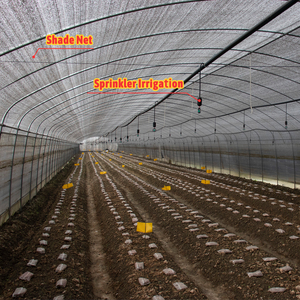 Mantar Ekipmanları Tarımsal Sera Mantar Çiftliği Satılık Seralar - Product Image 4