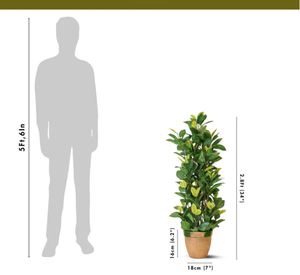 Lifelike Lemon <b>Tree</b> Artificial Plant Realistic Faux Citrus <b>Tree</b> for Home Office Garden <b>Decor</b> Indoor Outdoor Greenery Display - Product Image 3