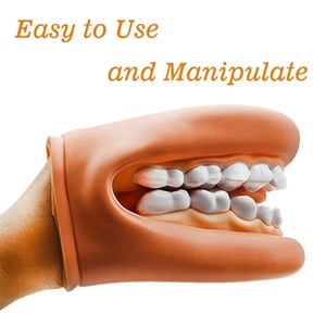 Răng mô hình PVC để dạy Giải Phẫu Cơ chế miệng và vị trí của các khớp nối để tạo ra âm thanh lời nói - Product Image 6