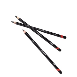 <span class=keywords><strong>Arte</strong></span> forniture professionali 3 pz artista matita <span class=keywords><strong>carboncino</strong></span> per schizzi e disegno - Product Image 1