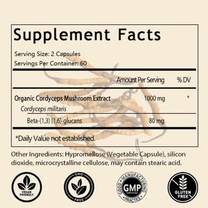 แคปซูลเห็ดถั่งเช่าขายดีแบบ OEM/ODM พร้อมเบต้ากลูแคน ช่วยเสริมพลังงาน กล้ามเนื้อ สุขภาพปอด และสมรรถภาพ - Product Image 2