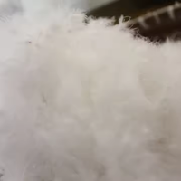 Vente en gros de duvet d'oie blanche super doux 90% lavé à vendre duvet d'oie en vrac