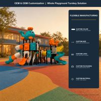 SageDelightRides Modules de parc commerciaux, toboggans d'inspection et de jeu pour enfants, en LLDPE et acier galvanisé, pour place publique, vente en gros