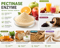 Enzyme Pectinase Liquide à Haute Activité pour la Clarification des Jus de Fruits et la Vinification – Améliore le Rendement et la Clarté du Jus – Conditionnement en Vrac (Bouteille/Fût)