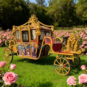 Chariot de luxe doré de style royal, électrique/à chevaux, sculpture de wagon personnalisée, capacité 6 personnes, pneus en caoutchouc massif - Product Image 3