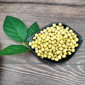 Granos de soja sin GMO de alta calidad, granos de soja sin GMO a granel - Product Image 4