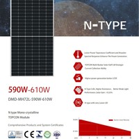 Module photovoltaïque DEMUDA N-Type Topcon 550W 590W 595W 600W 605W 610W Mono Monocristallin Demi-cellule Bifacial