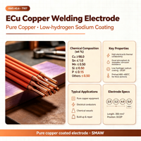 Électrode de soudage en cuivre et alliage de cuivre AWS A5.6 ECu ECuSi ECuSn ECuAl Cuivre pur Bronze au silicium Bronze à l'étain Bronze à l'aluminium