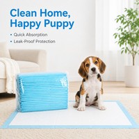 Tapis de toilette non tissés pour chiots, surface à séchage rapide, noyau en polymère absorbant, écologiques, étanches IPX7, emballage personnalisé, vente en gros OEM