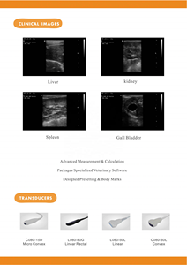 Sistema de Diagnóstico por Ultrasonido Veterinario Portátil en Blanco y Negro USMILEPET Máquina de Ultrasonido para Clínicas Veterinarias - Product Image 5