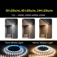 Bande LED blanche monocouleur WS2815 12V, ruban lumineux flexible pour applications résidentielles et commerciales
