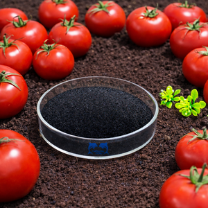 <span class=keywords><strong>Engrais</strong></span> à base d'extrait d'algues biologiques pour tomates, stimulant la floraison, la formation de fruits et le rendement - Product Image 1