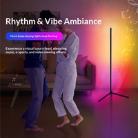 Lampe de table décorative RGB en acrylique de luxe, alimentée par USB, avec télécommande, pour chambre et salon, personnalisable OEM/ODM, directement de l'usine