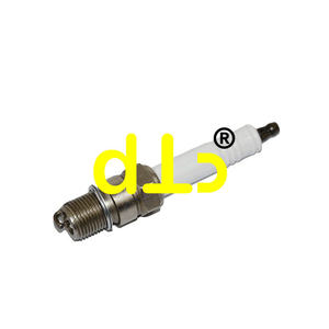   346-5123/284-8313 Reemplazo de Bujía Industrial de Alto Rendimiento R6GC1-77 - Product Image 1