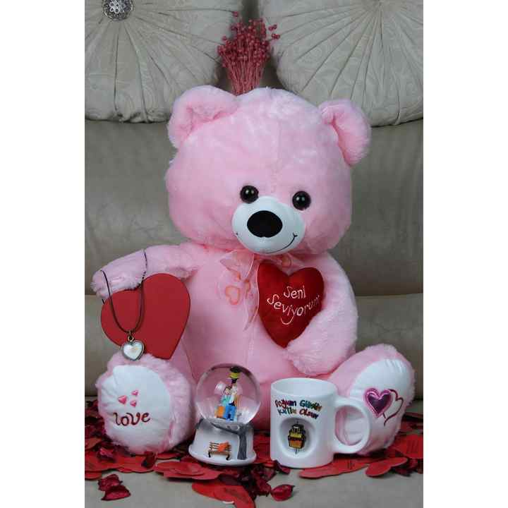 Plush Teddy Bear Birthday Gift Concept for Valentine