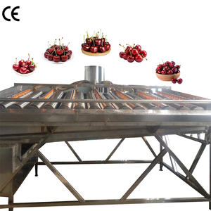 Macchina automatica di classificazione a rulli ad alta efficienza per la selezione e la classificazione delle <span class=keywords><strong>ciliegie</strong></span> - Product Image 2